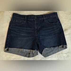 EUC Gap Denim Shorts (32)